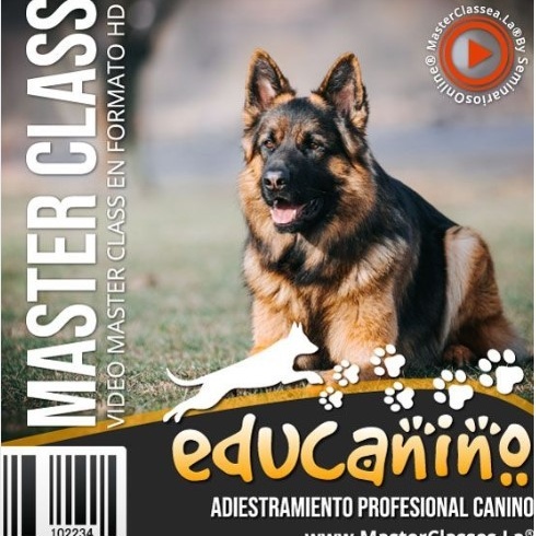 Adiestramiento Profesional Canino