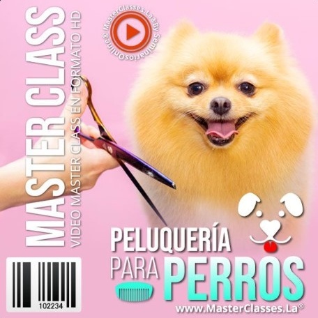 Peluquería para Perros